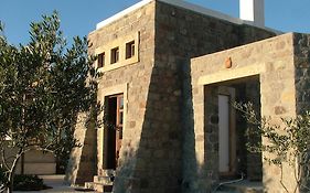 Villa Patmos Netia